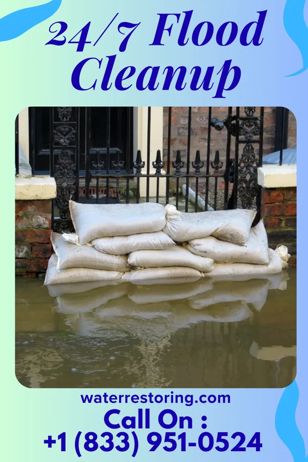 24/7 Flood Cleanup in Scales Mound, IL