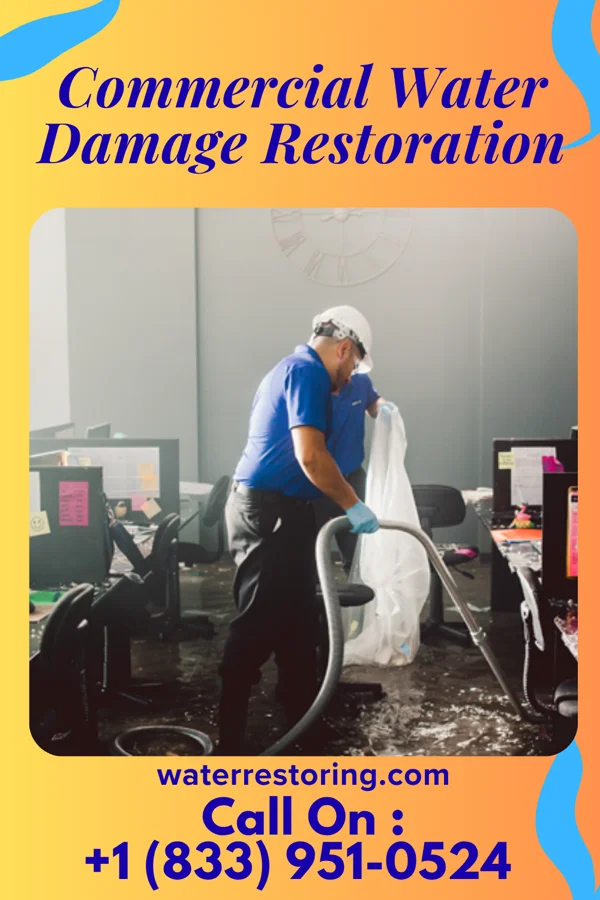 Commercial Water Damage Restoration in Scales Mound, IL