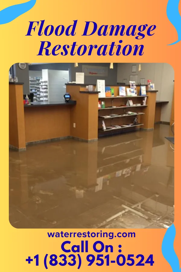 Flood Damage Restoration in Scales Mound, IL