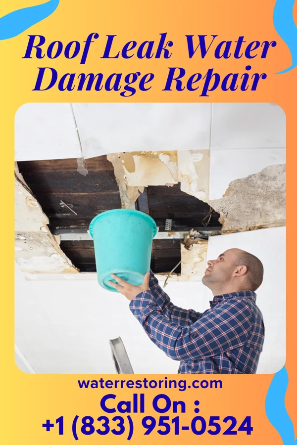 Roof Leak Water Damage Repair in Scales Mound, IL