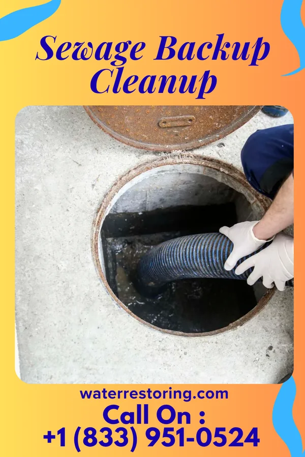 Sewage Backup Cleanup in Scales Mound, IL